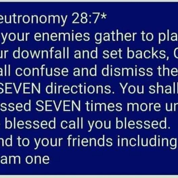 Meet your Posher, Reuben - Picture 3 of 3